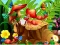 Joc Hidden Objects Insects en línia
