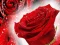 Joc Red Roses en línia