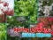 Joc Spring Flowers: Hidden Objects en línia