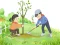 Joc Arbor Day Puzzle en línia