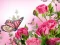 Joc Butterflies Puzzle en línia