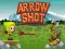 Joc Arrow Shoot en línia