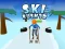 Joc Ski Rush 3d en línia