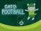 Joc Cat Football en línia