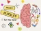 Joc Brain Puzzles Quests en línia