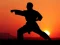 Joc Karate Sunset Warriors en línia