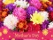 Joc 2019 Mother's Day Puzzle en línia