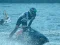 Joc Power Boat Racing 3D en línia