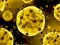 Joc Coronavirus Slide en línia