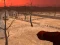 Joc Wasteland Shooters en línia