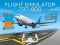 Joc Flight Simulator 737-800 en línia