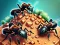 Joc Ant Colony en línia