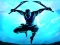 Joc Shadow Ninja Revenge en línia