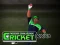 Joc Cricket Fielder Challenge en línia