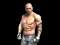 Joc Fight Arena Online en línia