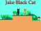 Joc Jake Black Cat en línia