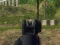 Joc Army Shooter en línia