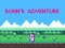 Joc Bunn's Adventure en línia
