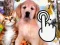 Joc Pets Clicker en línia