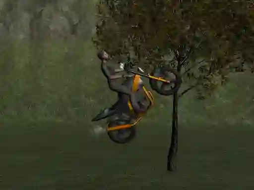 Joc Mountain Bike Rider en línia
