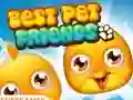 Joc Best Pet Friends en línia