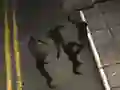 Joc Zombie Reborn en línia