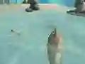 Joc Shark Simulator Beach Killer en línia