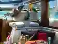 Joc Caribbean Crime en línia