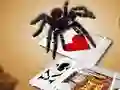 Joc Jumping Spider en línia