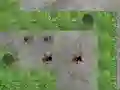 Joc Spider Tower Defence en línia