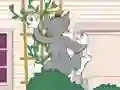 Joc Tom und Jerry: Wasserbomben Wahnsinn en línia