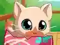 Joc My Pocket Pets Kitty Cat en línia