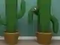 Joc Cactus Cube en línia