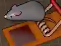 Joc Feed the Mouse en línia