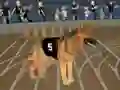 Joc Crazy Dog Racing Fever en línia