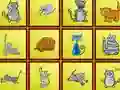 Joc Cats Findiff en línia