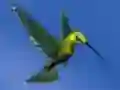 Joc Hummingbird House Escape en línia