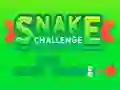 Joc Snake Challenge en línia