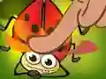 Joc Insect Cush en línia