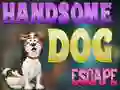 Joc Handsome Dog Escape en línia
