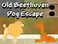 Joc Old Beethoven Dog Escape en línia
