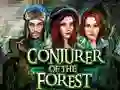 Joc Conjurer Of The Forest en línia
