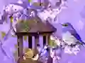 Joc Wonderful Humming Bird Land Escape en línia