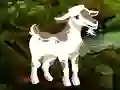 Joc Searching Goat Child en línia