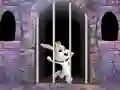 Joc Victory Rabbit Escape en línia