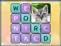 Joc Word Search Pictures en línia