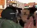 Joc Bakery Protection en línia