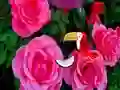 Joc Precious Rose Escape en línia