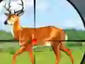 Joc Wild Hunt Hunting Games 3D en línia