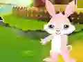 Joc Find The Buddy Rabbit en línia